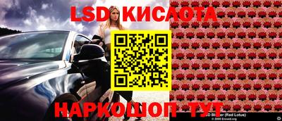 мяу мяу мука Краснознаменск