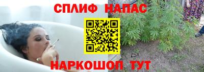 мяу мяу мука Краснознаменск