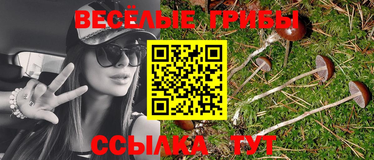 Кисловодск  Псилоцибиновые грибы Psilocybine cubensis  Вход с VPN  Псилоцибиновые грибы MAGIC MUSHROOMS 
