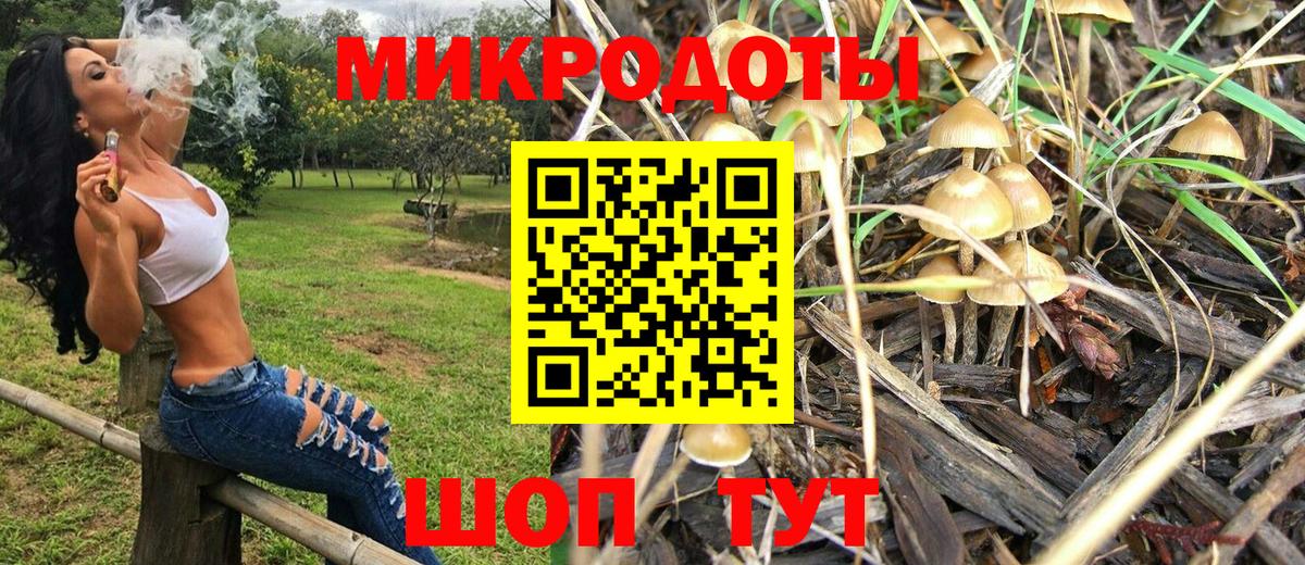 Псилоцибиновые грибы Cubensis Кисловодск